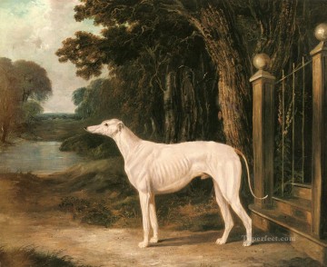 Frederic Deco Art - Vandeau A White Greyhound 2 Herring Snr John Frederick horse